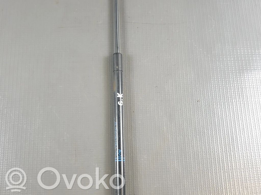 Ford Ecosport Tailgate/trunk strut/damper 
