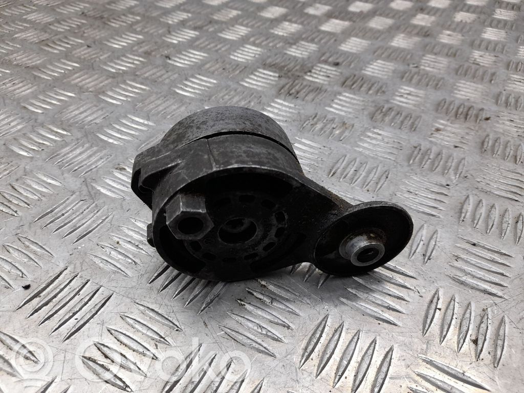 Audi A6 S6 C6 4F Napinacz paska wielorowkowego / Alternatora 