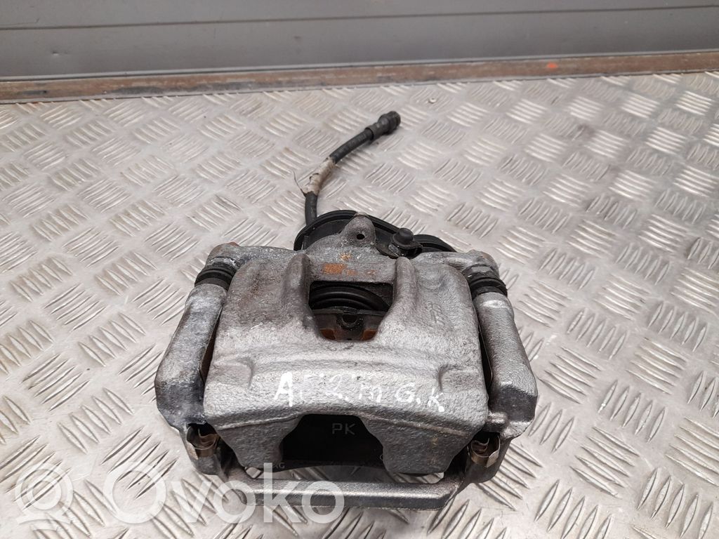 Takajarrusatula   8W0405CK