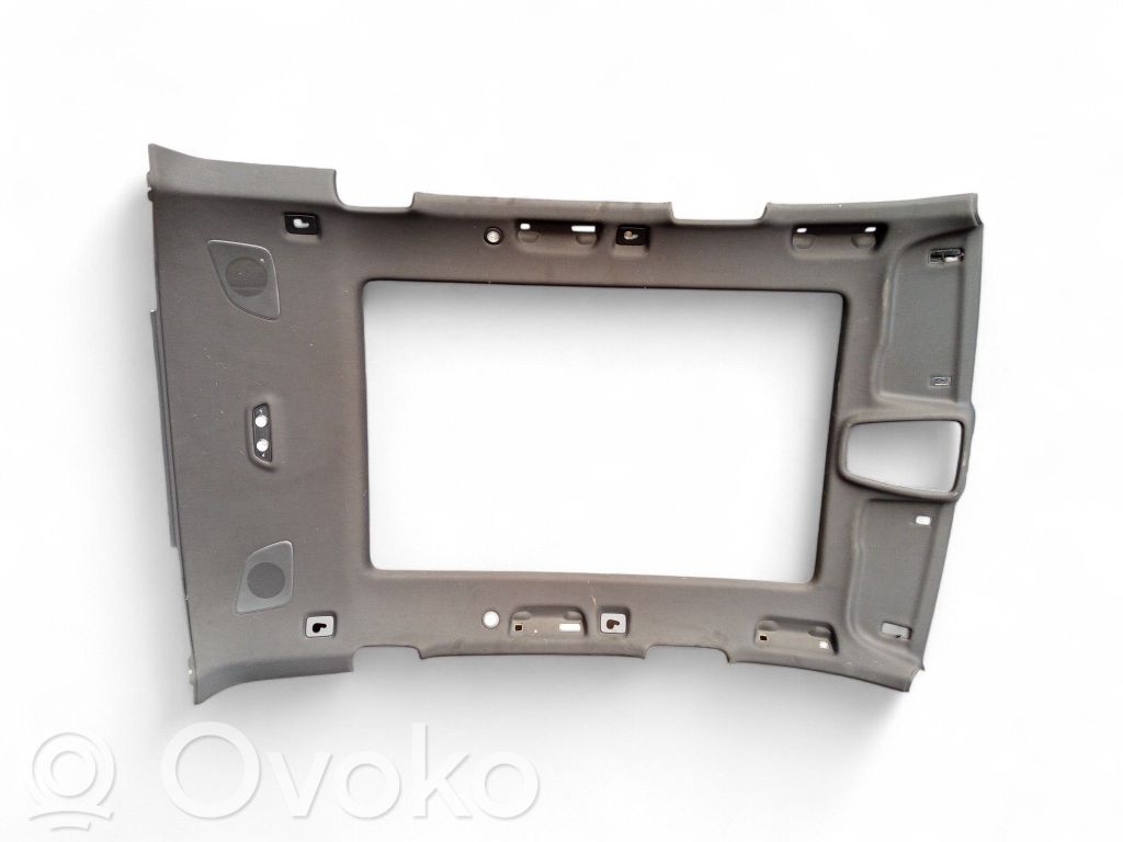 Audi Q7 4M Headlining 