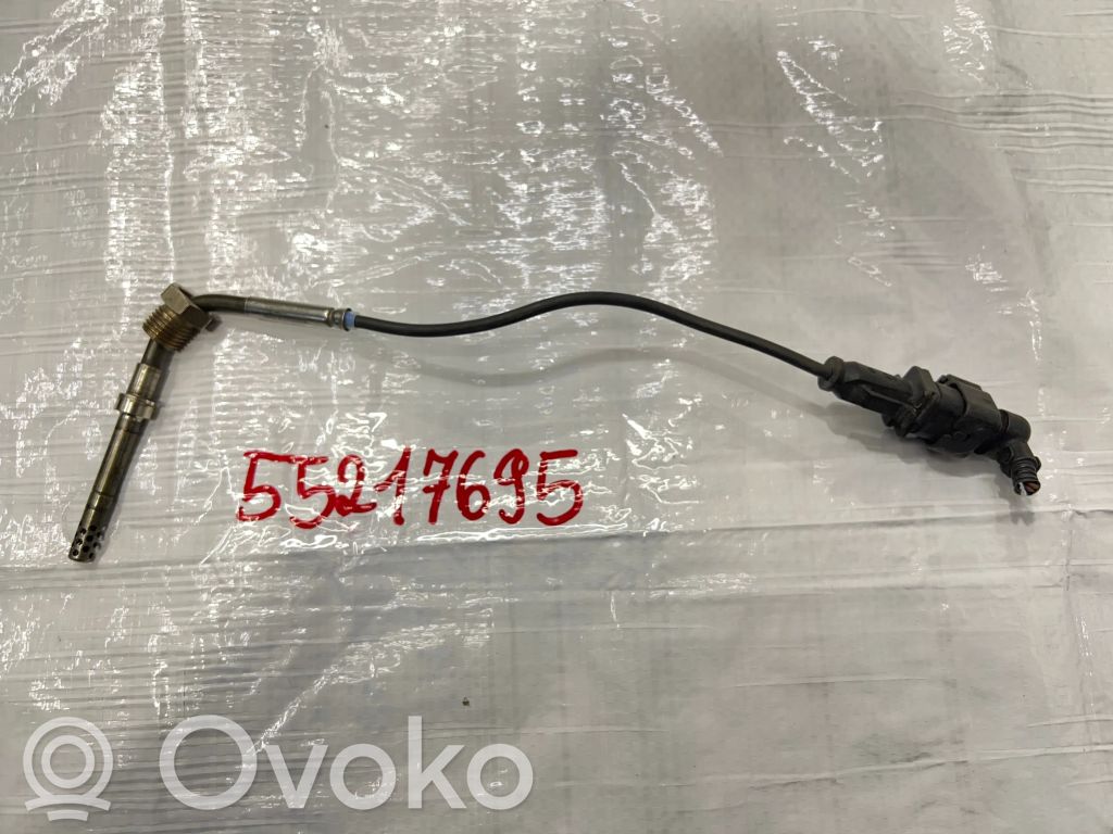 Fiat Bravo Exhaust gas temperature sensor 