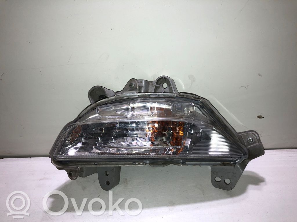 Frontblinker   B45A51360,W1145,K2442