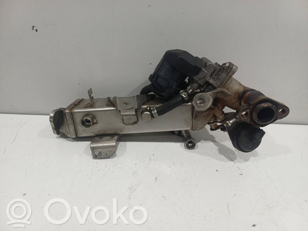 EGR valve cooler   7810751,877012,123398