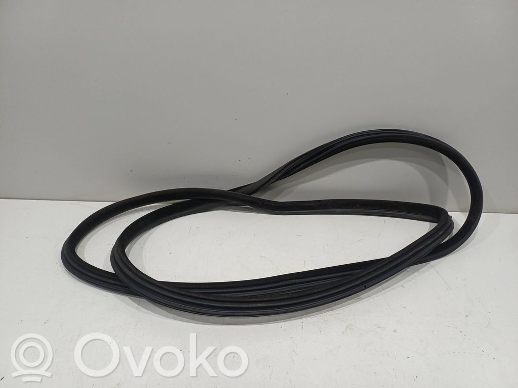 Front door rubber seal   7119092