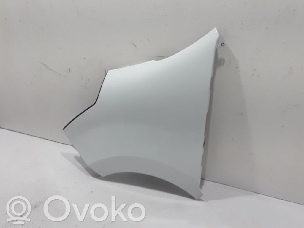 Guardabarro   631010504R