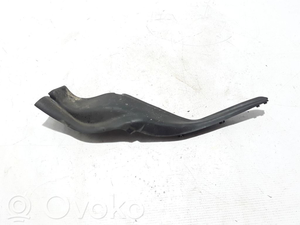 Chrysler Pacifica Wiper trim 