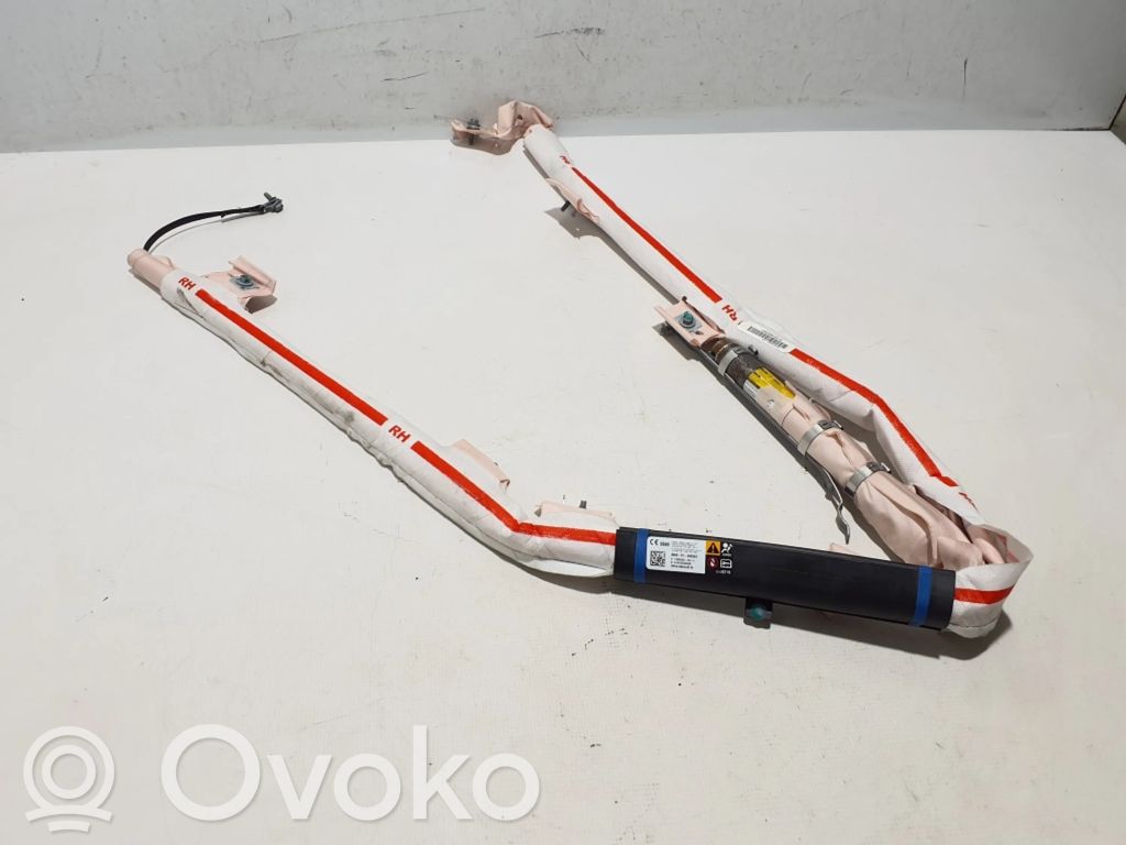 Airbag cortină   1005262
