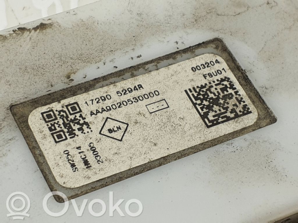 Renault Austral Degalų siurblys (degalų bake) 