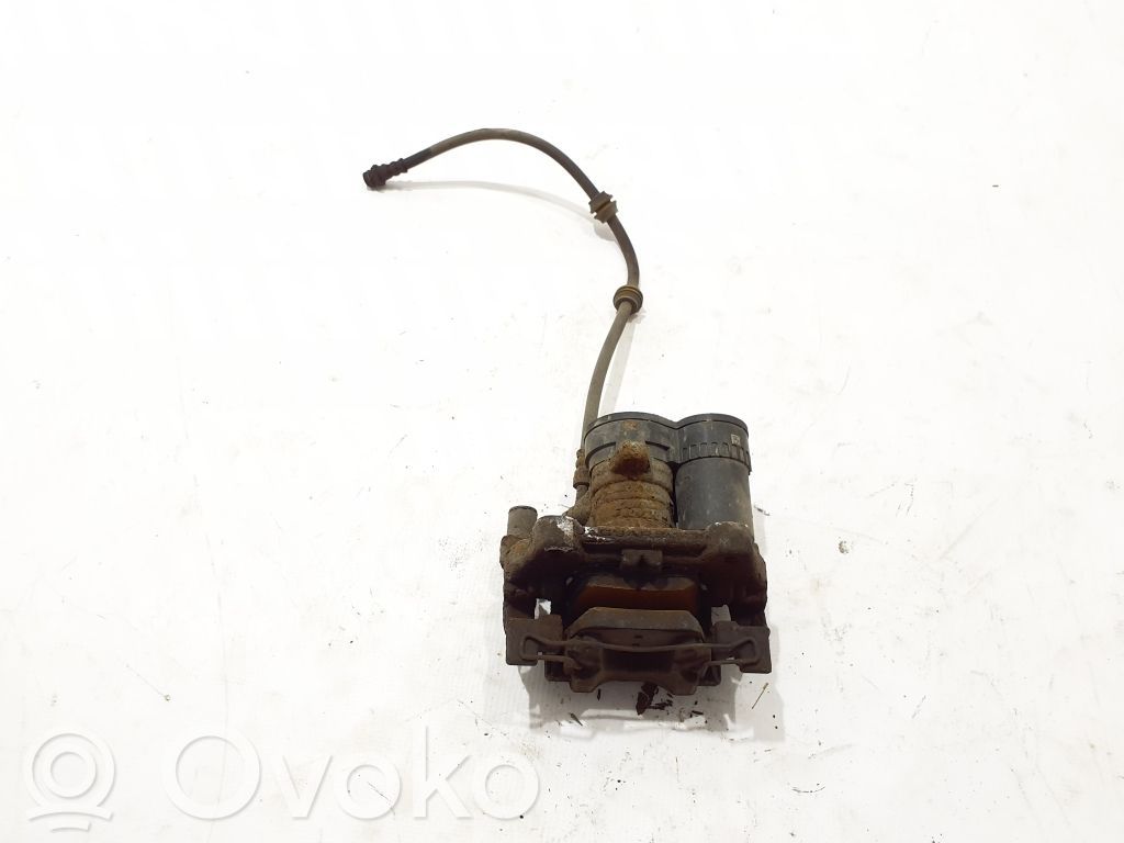 Takajarrusatula   LR061381,FK722553AA