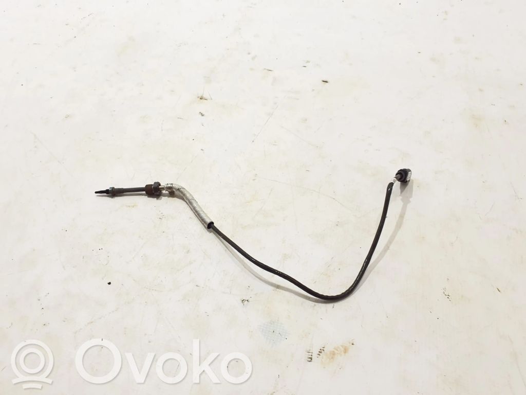 Skoda Kodiaq Sensor de temperatura del escape