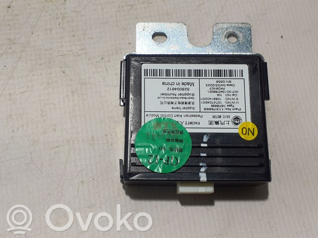 MG ZS Other control units/modules 