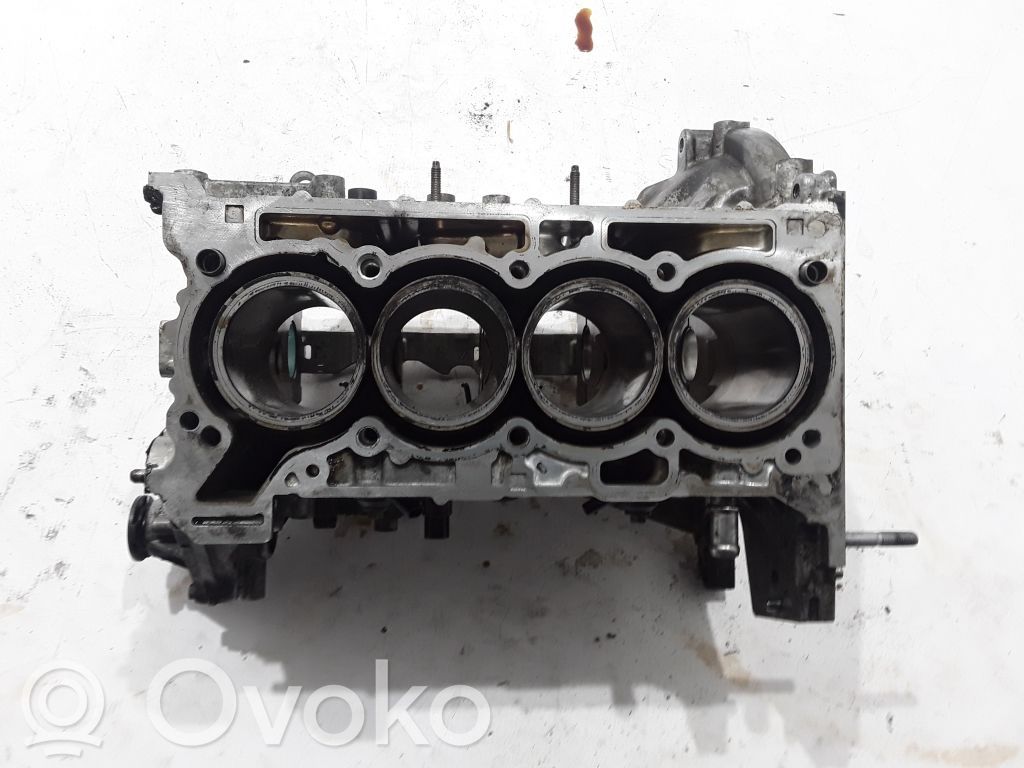 Bloque de motor   110104901R