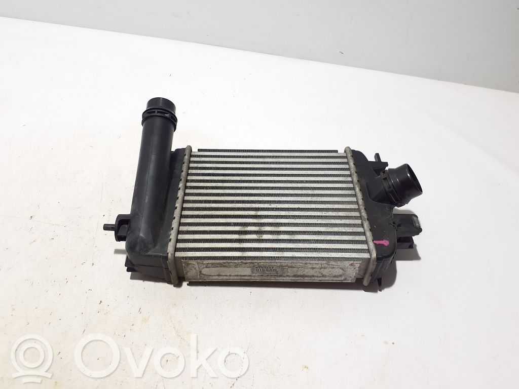 Renault Clio V Intercooler radiator 
