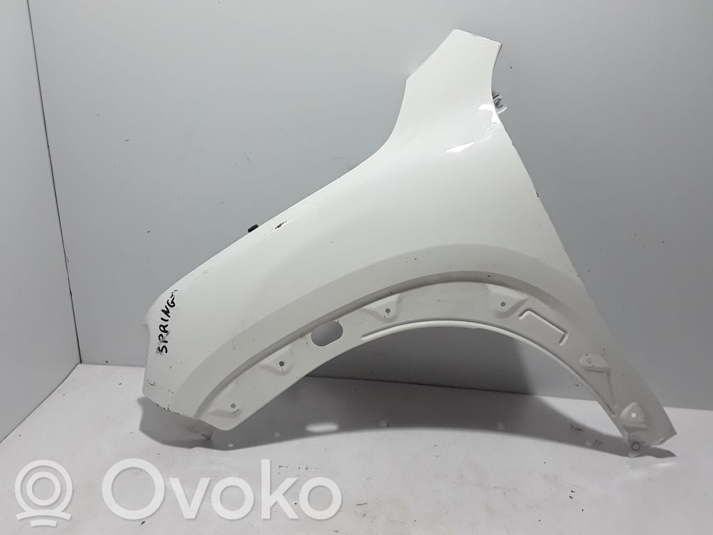 Dacia Spring Guardabarro 