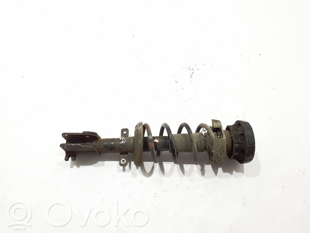 Stoßdämpfer vorne   543023941R