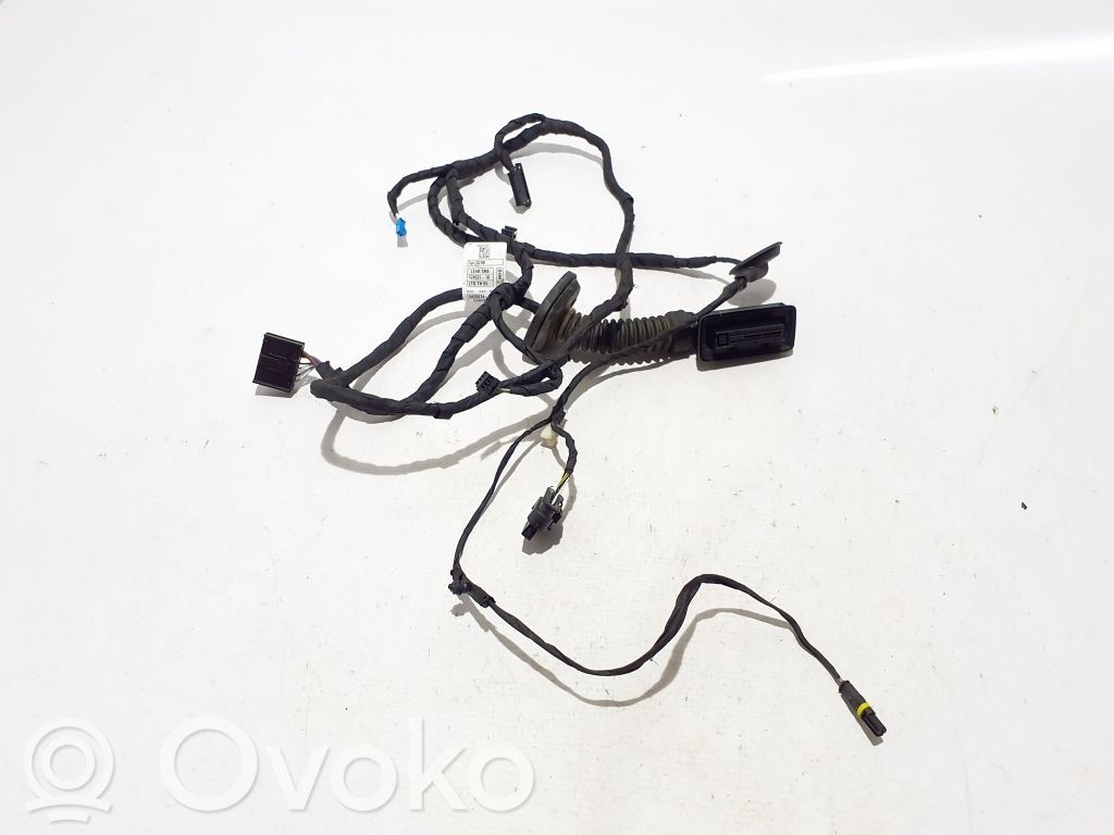 BMW 1 F40 Other wiring loom 
