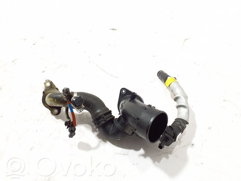 Renault Trafic III (X82) Tubo flessibile depressione del freno