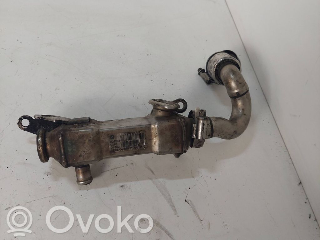 BMW 5 E39 EGR aušintuvas 
