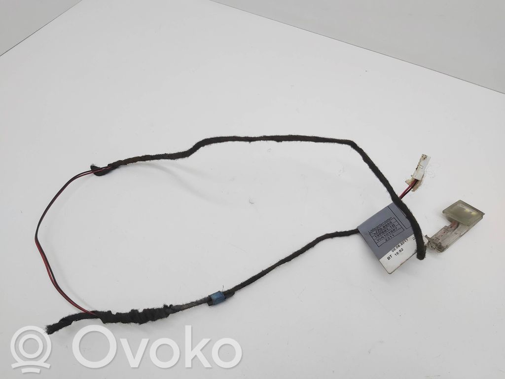BMW X5 E70 Priekinių durų rankenos apšvietimo žibintas (išorėje) 