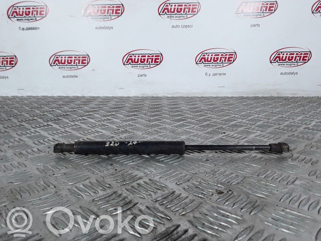 Tailgate/trunk strut/damper   51236202037