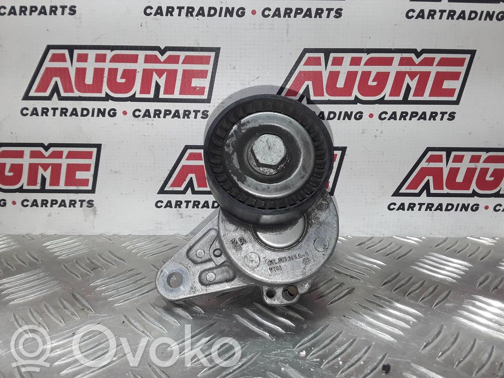 Audi A3 S3 8V Napinacz paska alternatora 