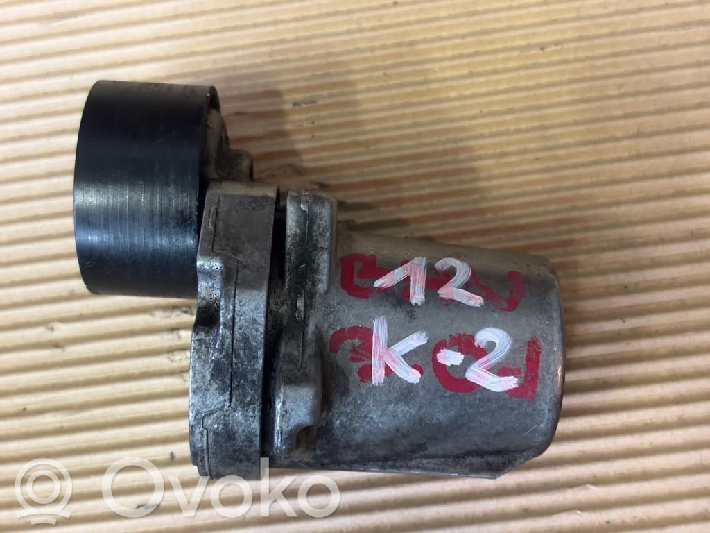 BMW X5 F15 Tendicinghia dell’alternatore 