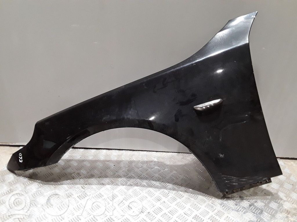 Fender