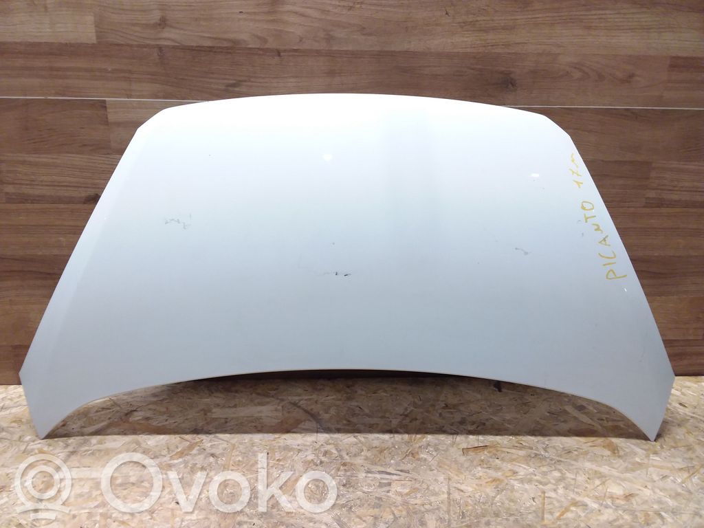 Engine bonnet/hood