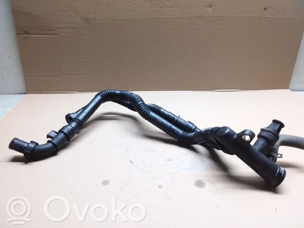 Citroen C3 Caurulīte (-es) / šļūtene (-es) 