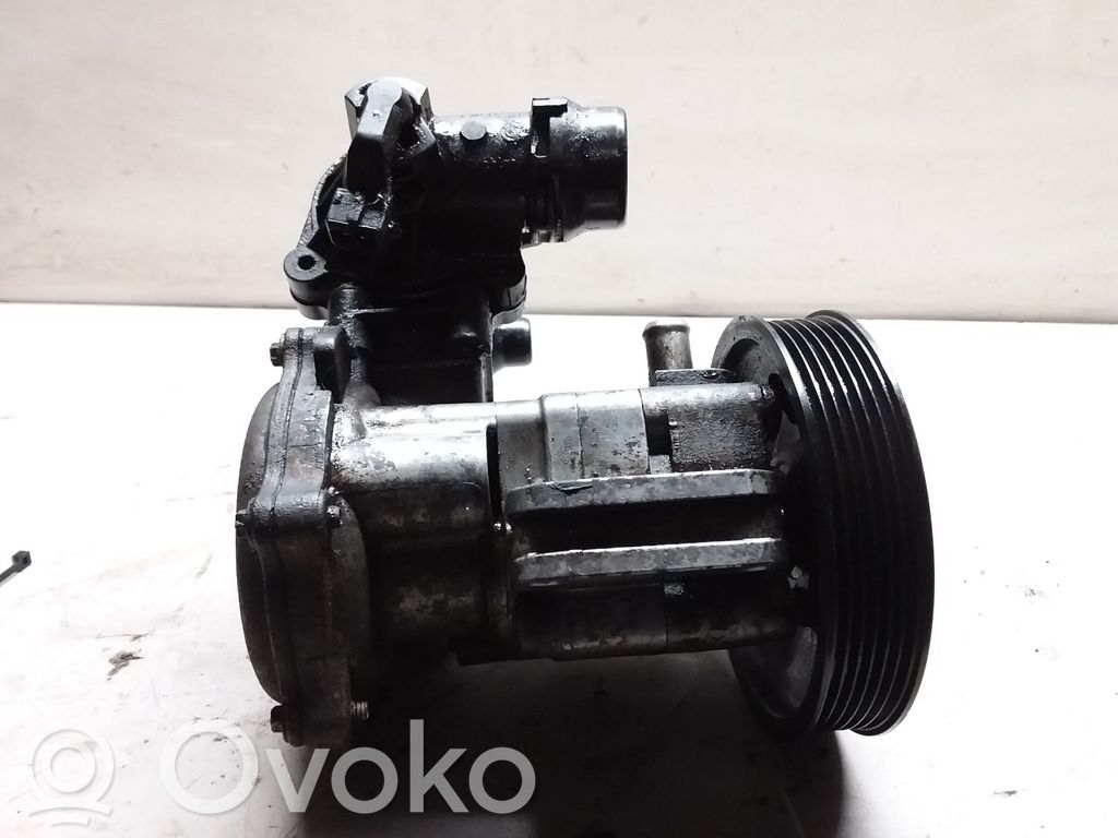 Power steering pump   6756611