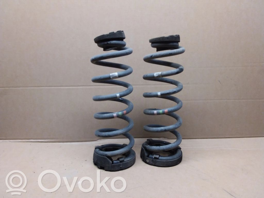 Rear coil spring