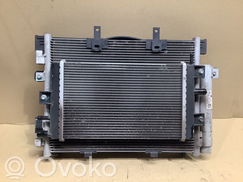 Dacia Spring Wasserkühler Kühlerpaket 
