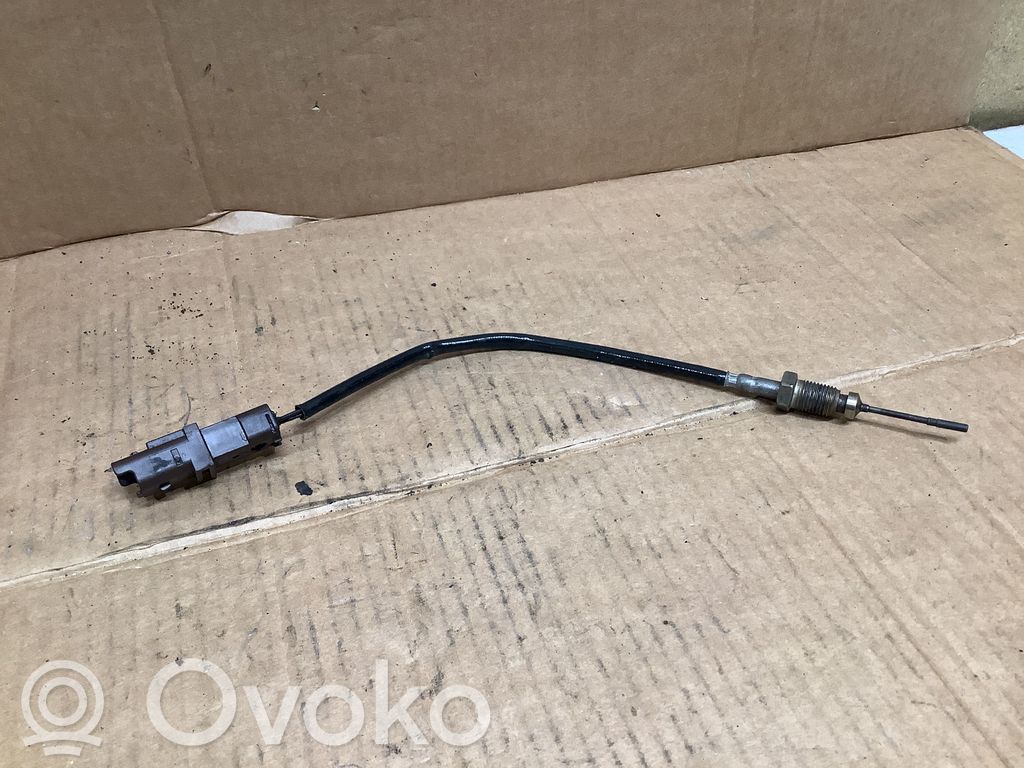 Peugeot 307 Exhaust gas temperature sensor 