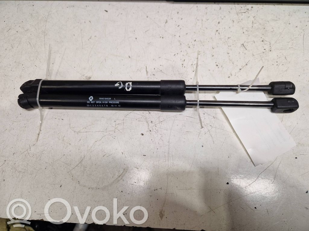 Dacia Spring Tailgate strut 