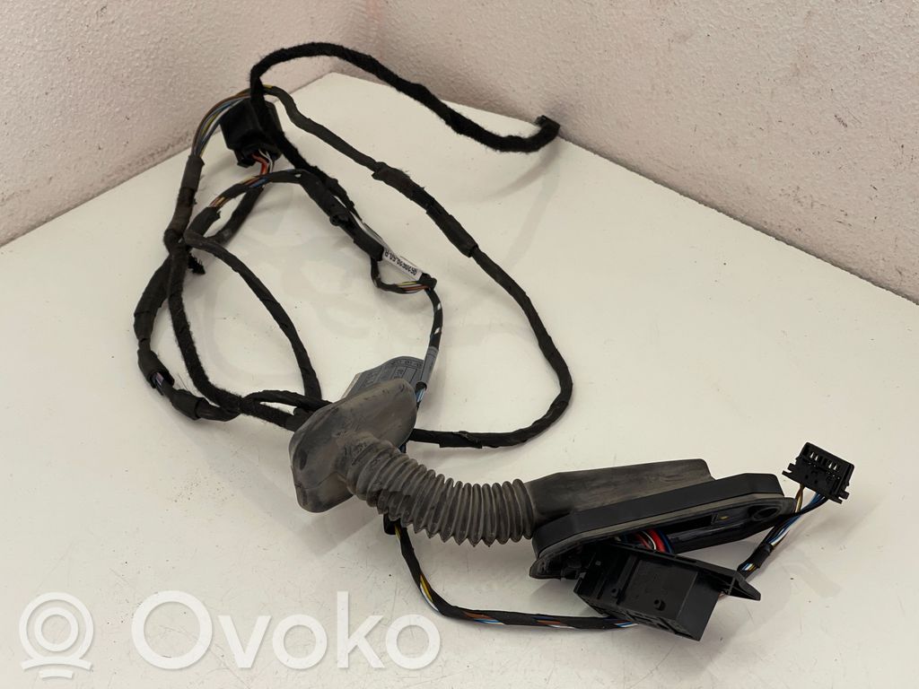 BMW 5 E60 E61 Cableado de puerta trasera 