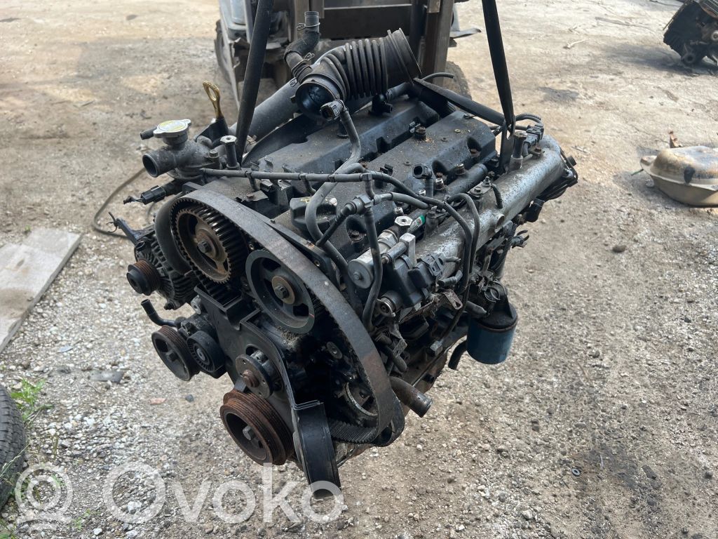 Motor
