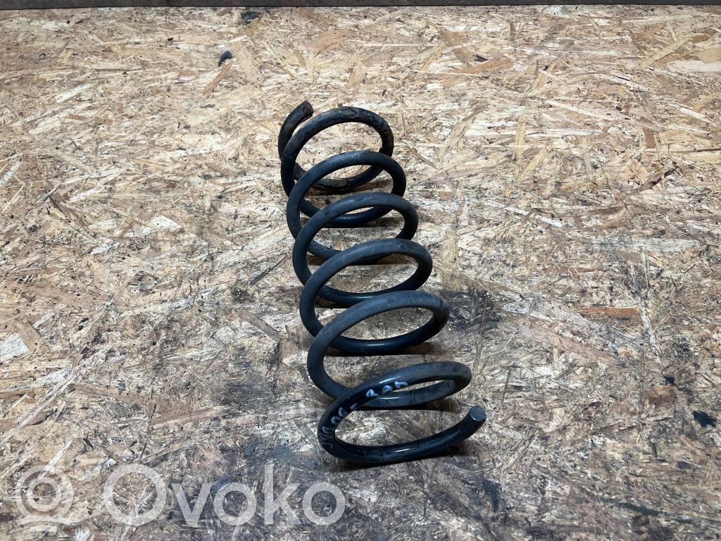 Muelle espiral trasero