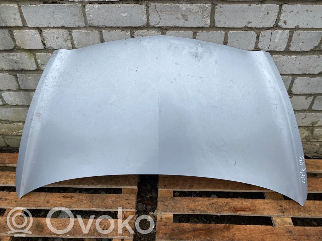 Dzinēja pārsegs (vāks)