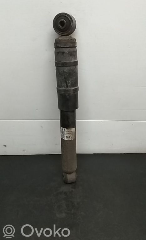 Stoßdämpfer hinten   22203924,463016733