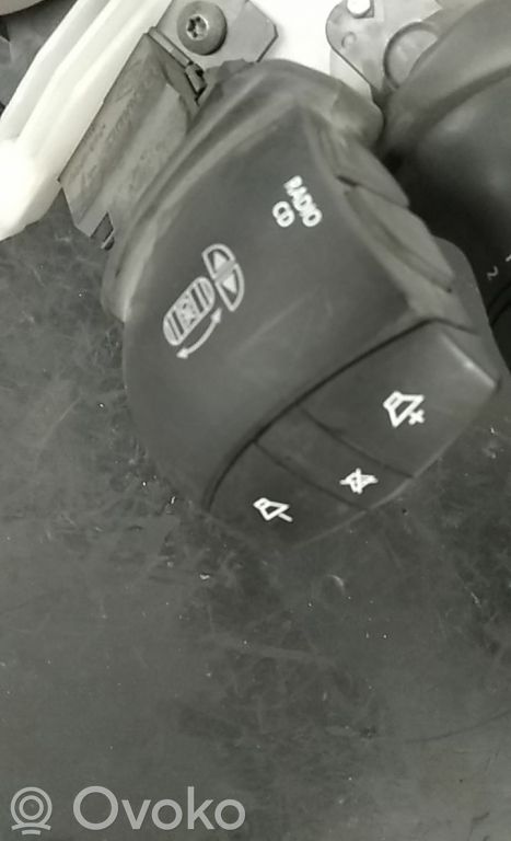 Other switches/knobs/shifts   255520013RB,9828