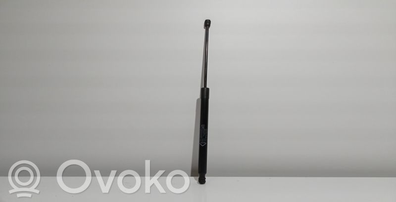 Tailgate/trunk strut/damper   00520907730