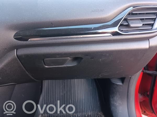 Ford Fiesta Cutie mănuși 