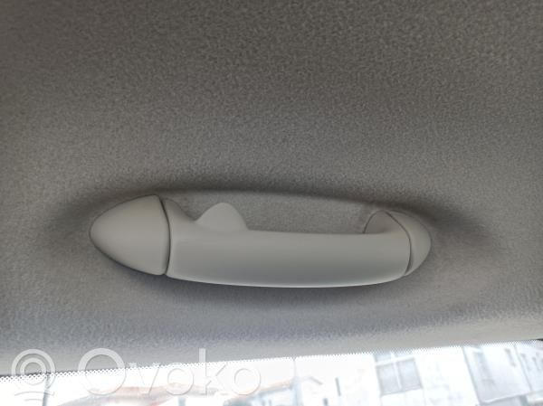Manecilla interna puerta delantera   TRASDIREITA