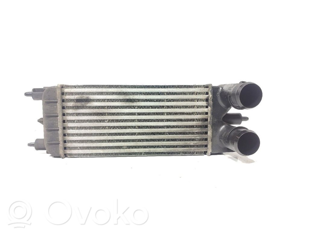 Interkūlerio radiatorius   P9684946380,M144207