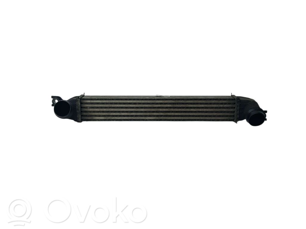 Intercooler radiator   850690401