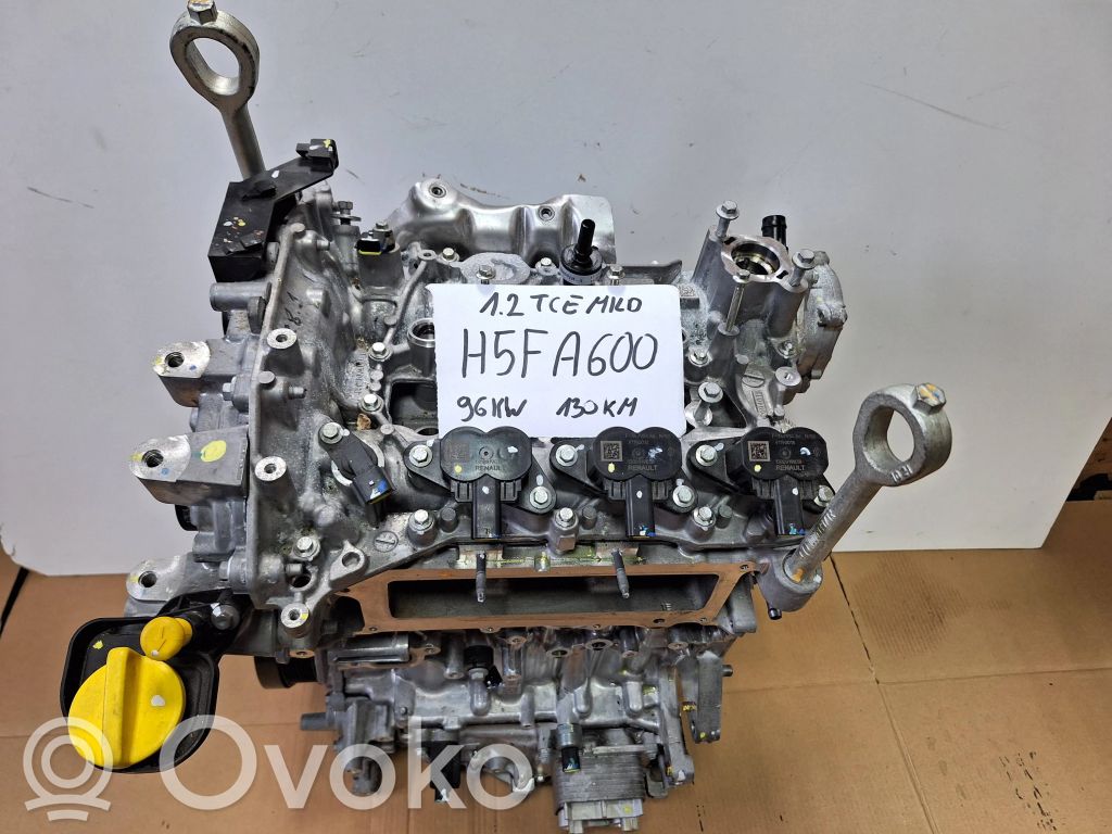Renault Austral Variklis 