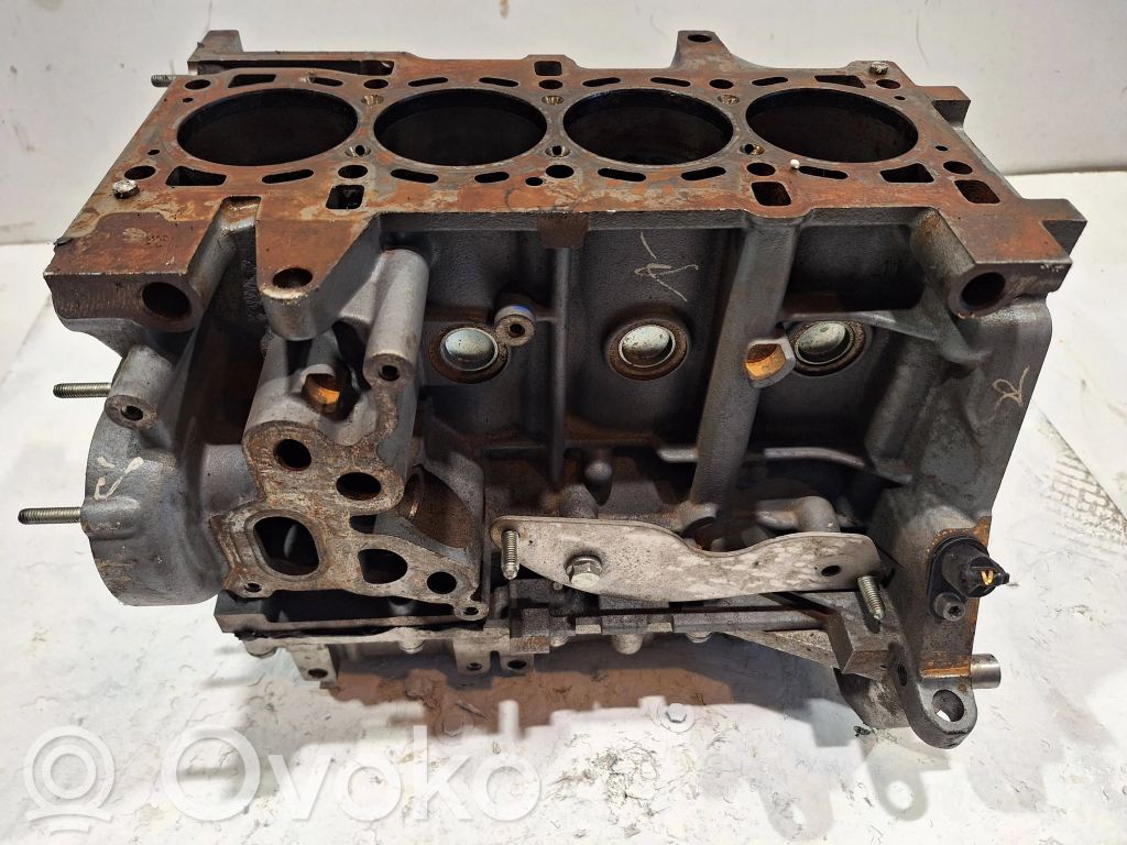 Fiat Doblo Engine block 