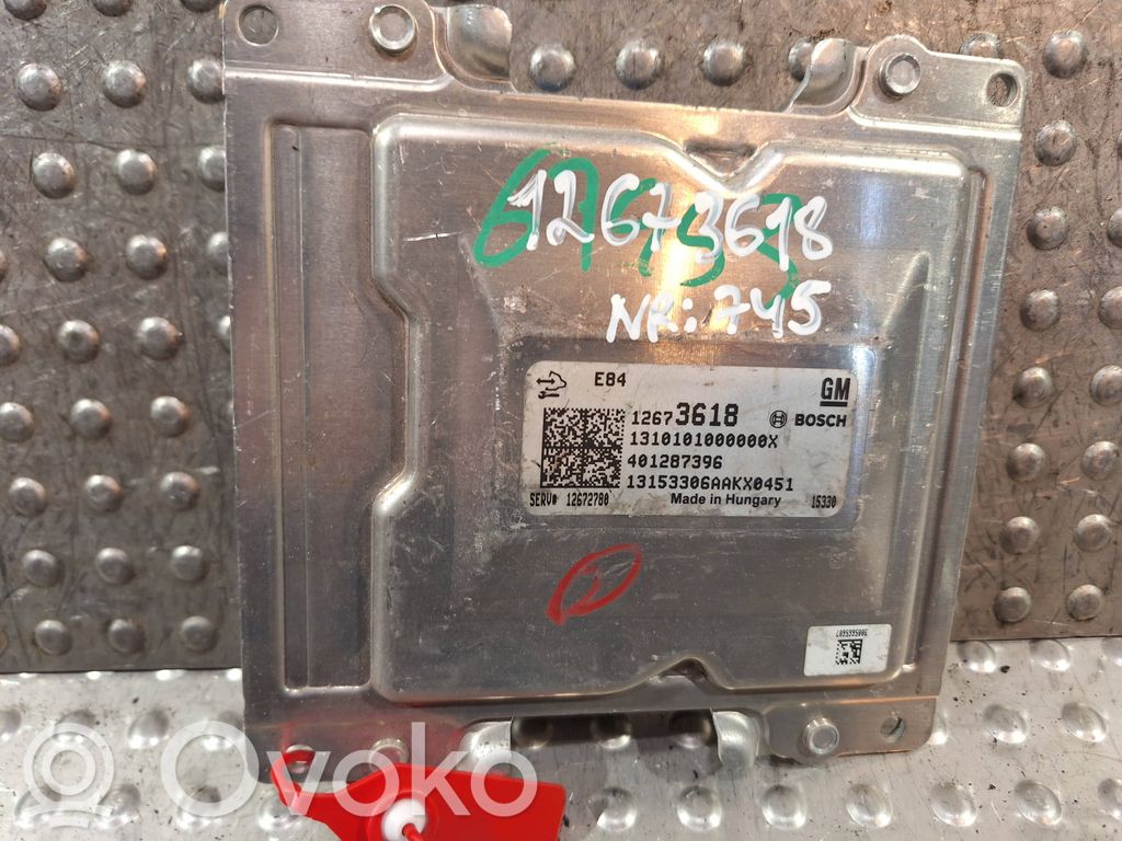 Engine control unit/module   S25053745,12673618,401287396,12672780,1310101000000X