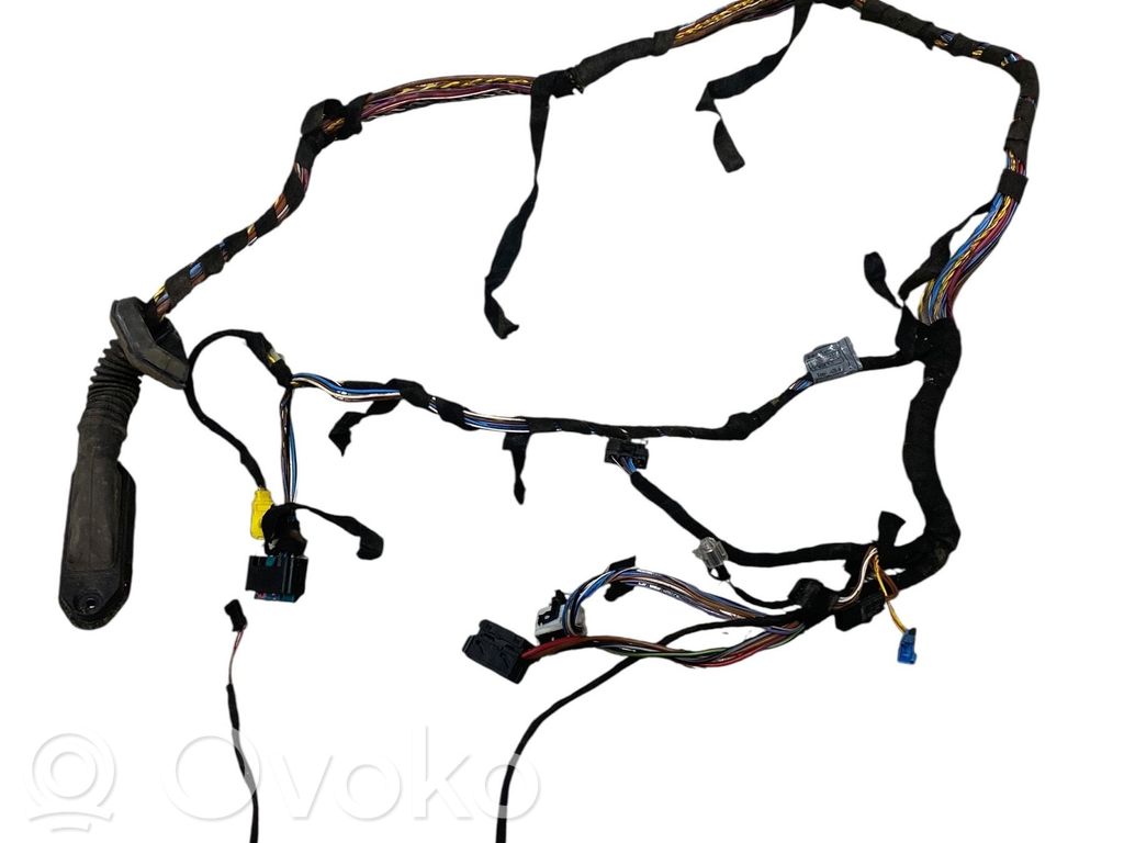 BMW X5 E53 Cableado de puerta delantera 