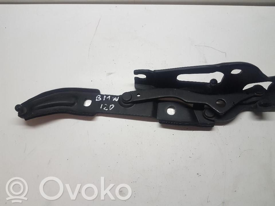 BMW 1 E82 E88 Tailgate/trunk/boot hinge 